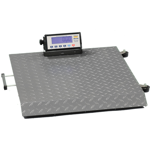 Floor Scale