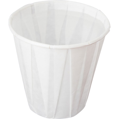 Disposable Cup