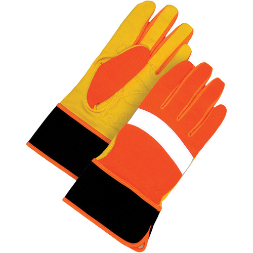 Gloves & Accessories